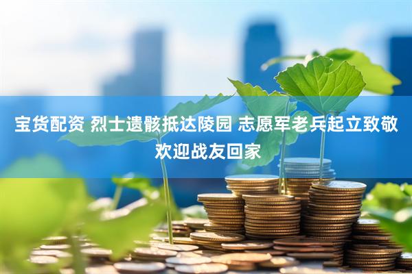 宝货配资 烈士遗骸抵达陵园 志愿军老兵起立致敬 欢迎战友回家
