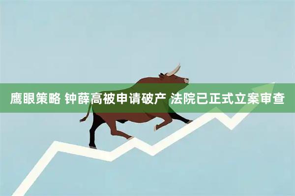鹰眼策略 钟薛高被申请破产 法院已正式立案审查