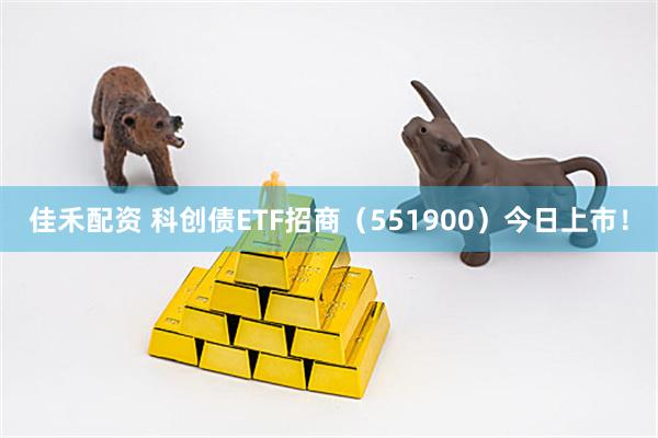 佳禾配资 科创债ETF招商（551900）今日上市！