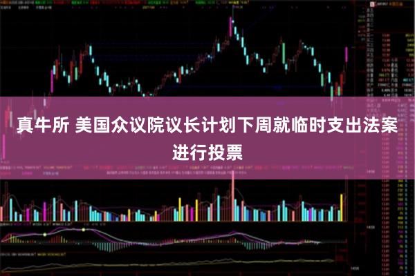 真牛所 美国众议院议长计划下周就临时支出法案进行投票