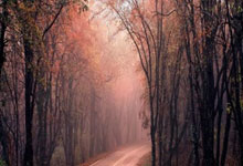 股票配资开户手机版:股票的杠杆是什么意思-鲍威尔的“绝唱”：释放最强降息信号 美国“债务死亡螺旋”的幽灵已浮现